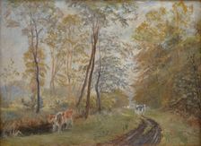 The River Sorteaa near Mejlgaard Manor, Jutland, 1894. Creator: Theodor Esbern Philipsen