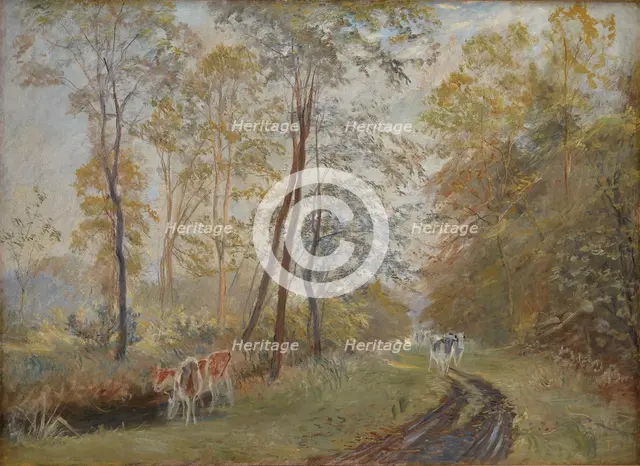 The River Sorteaa near Mejlgaard Manor, Jutland, 1894. Creator: Theodor Esbern Philipsen.