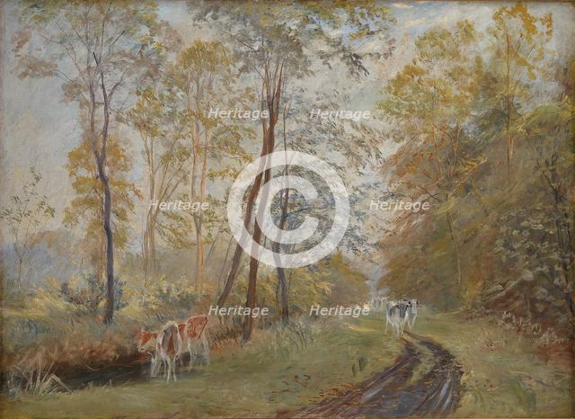 The River Sorteaa near Mejlgaard Manor, Jutland, 1894. Creator: Theodor Esbern Philipsen.