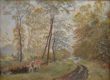 The River Sorteaa near Mejlgaard Manor, Jutland, 1894. Creator: Theodor Esbern Philipsen