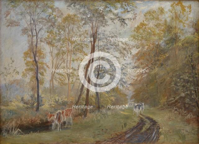 The River Sorteaa near Mejlgaard Manor, Jutland, 1894. Creator: Theodor Esbern Philipsen.