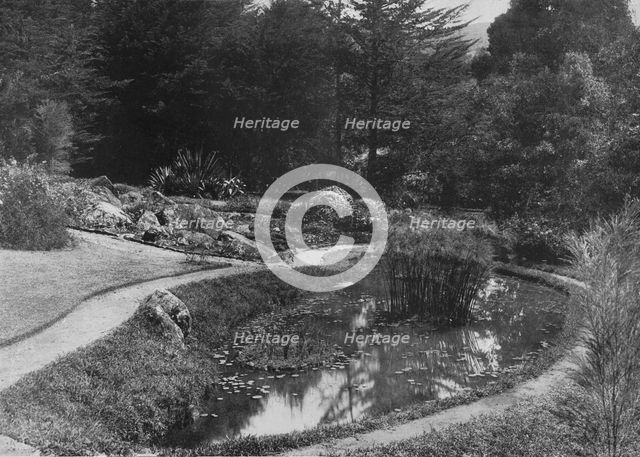 'The Rock Garden, Hakgalla Gardens, Nuwara Eliya', c1890, (1910). Artist: Alfred William Amandus Plate.