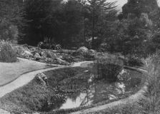 The Rock Garden, Hakgalla Gardens, Nuwara Eliya c1890, (1910). Artist: Alfred William Amandus Plate