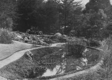 The Rock Garden, Hakgalla Gardens, Nuwara Eliya c1890, (1910). Artist: Alfred William Amandus Plate