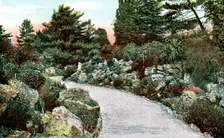 The Rockery, Kew Gardens, Richmond upon Thames, London, 20th Century