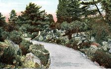 The Rockery, Kew Gardens, Richmond upon Thames, London, 20th Century