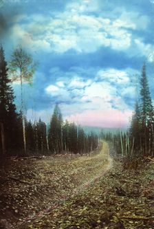 The Roadbed After Planning. Petropavlovsk Branch, 1906-1908. Creator: Dorozhno-Stroitel'nyi Otdel