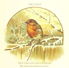 The Robin, 1893. Creator: Jessie Hall