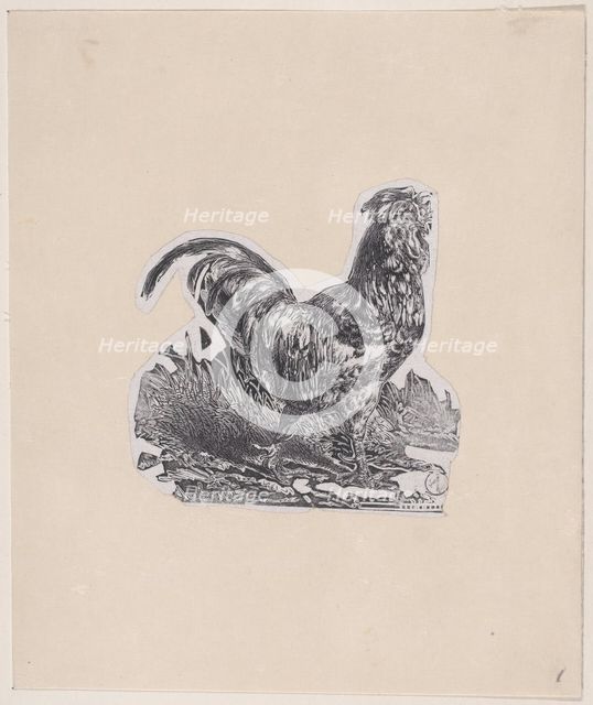 The Rooster, ca. 1853. Creator: Charles Emile Jacque.