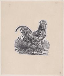 The Rooster, ca. 1853. Creator: Charles Emile Jacque