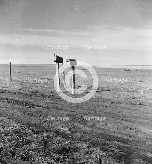 The rolling lands used for grazing near Mills, New Mexico, 1935. Creator: Dorothea Lange.