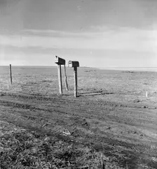 The rolling lands used for grazing near Mills, New Mexico, 1935. Creator: Dorothea Lange
