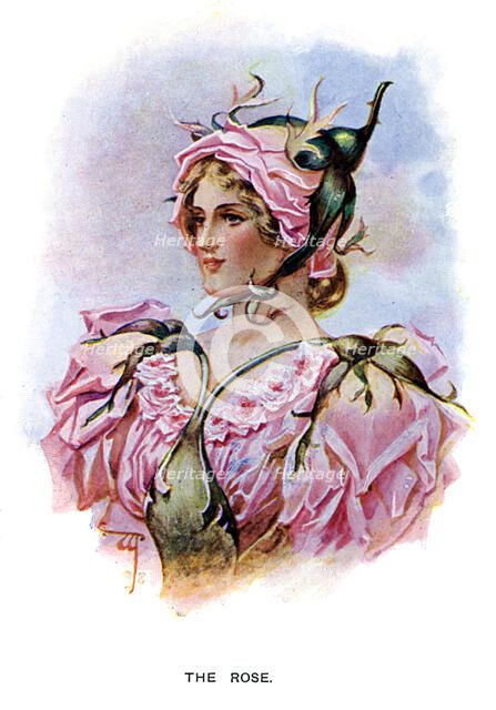 'The Rose', 1899. Artist: Unknown