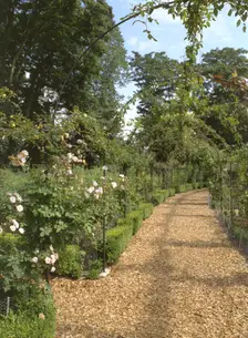 The rose garden, Brodsworth Hall, South Yorkshire, 1999. Artist: N Corrie