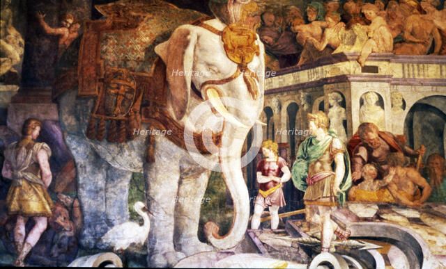  'The royal elephant', work by Le Rosso.