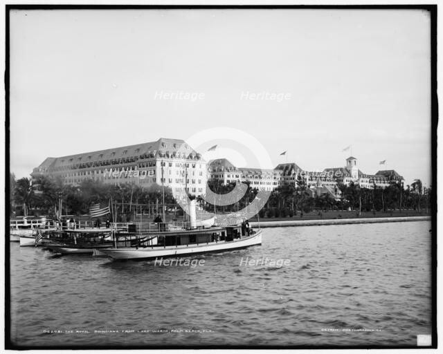 The Royal Poinciana from Lake Worth, Palm Beach, Fla., between 1900 and 1905. Creator: Unknown.