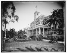 The Royal Poinciana, Palm Beach, Florida, c1902. Creator: William H. Jackson