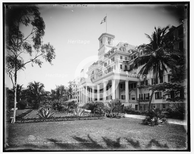 The Royal Poinciana, Palm Beach, Florida, c1902. Creator: William H. Jackson.
