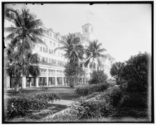 The Royal Poinciana, Palm Beach, Florida, c1902. Creator: William H. Jackson