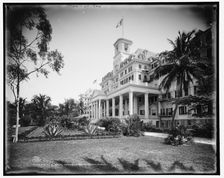 The Royal Poinciana, Palm Beach, Florida, c1902. Creator: William H. Jackson