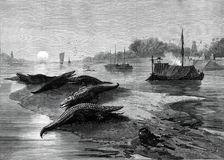 The Royal Visit to India: the Ganges, from a sketch by one of our special artists, 1876. Creator: Unknown