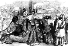The Royal Visit to India: the Prince of Wales mounting his elephant...1876. Creator: C.R.