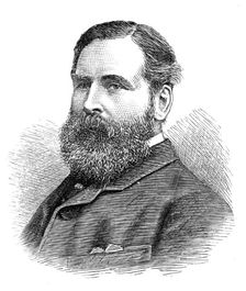 The Royal Visit to Swansea: Mr. F. A. Yeo, Chairman of the Swansea Harbour Trust, 1881. Creator: Unknown