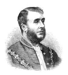 The Royal Visit to Swansea: the Mayor of Swansea, 1881. Creator: Unknown