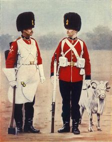 The Royal Welsh Fusiliers 1901. Creator: Gregory & Co