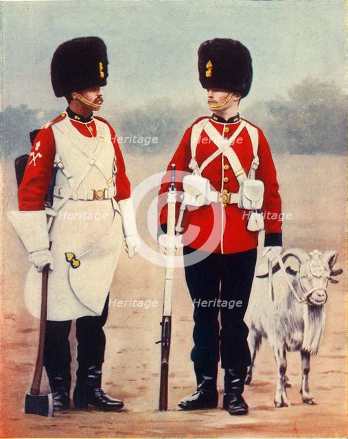 'The Royal Welsh Fusiliers', 1901. Creator: Gregory & Co.