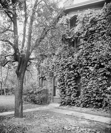 The stable, J.H. Patterson's residence, Dayton, Ohio, between 1900 and 1905. Creator: Unknown