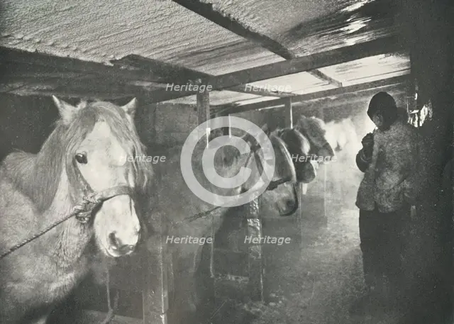 'The Stables in Winter', c1910–1911, (1913). Artist: Herbert Ponting.