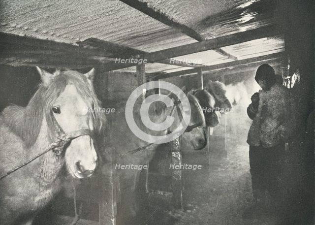 'The Stables in Winter', c1910–1911, (1913). Artist: Herbert Ponting.