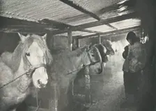 The Stables in Winter c1910–1911, (1913). Artist: Herbert Ponting