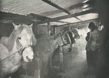 The Stables in Winter c1910–1911, (1913). Artist: Herbert Ponting