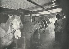 The Stables in Winter c1910–1911, (1913). Artist: Herbert Ponting