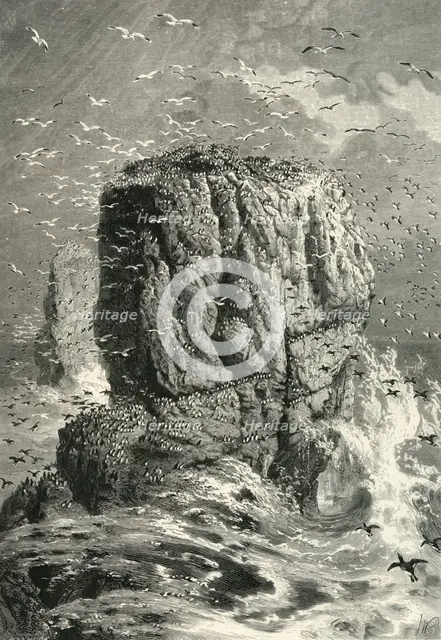 'The Stack Rocks', c1870.