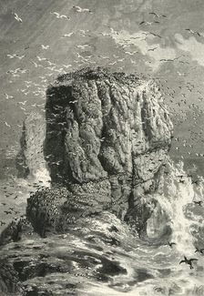 The Stack Rocks c1870