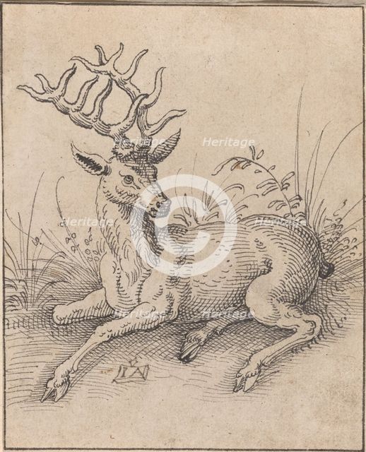 The Stag. Creator: Jost Ammon.