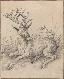 The Stag. Creator: Jost Ammon