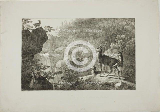 The Stag and the Chamois, n.d. Creator: Max Josef Wagenbauer.