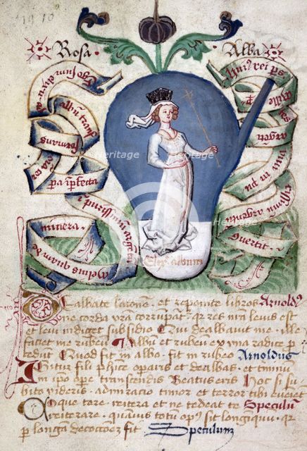 The stage of the white elixir, a queen or Rosa alba (the white rose),15th century. Creator: Unknown.