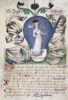 The stage of the white elixir, a queen or Rosa alba (the white rose),15th century. Creator: Unknown