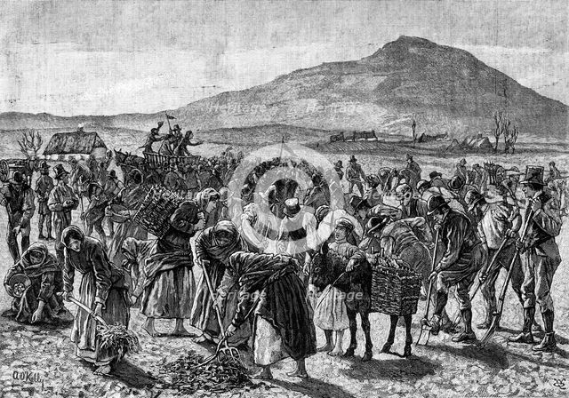 The State of Ireland: tilling the farm of an imprisoned Land Leaguer, 1881. Creator: Unknown.