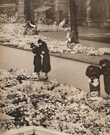 The State Funeral of King George V at Windsor: memorial wreaths 1936
