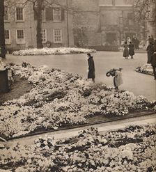 The State Funeral of King George V at Windsor: memorial wreaths 1936