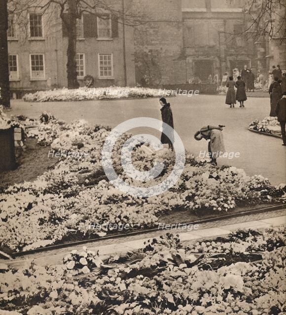 'The State Funeral of King George V at Windsor: memorial wreaths', 1936. Artist: Unknown.
