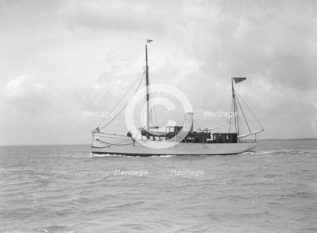 The steam yacht 'Gamecock', 1912. Creator: Kirk & Sons of Cowes.