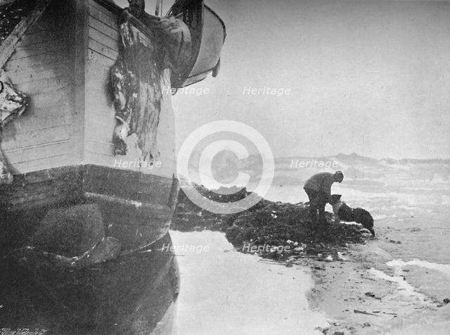 'The Stern of the Fram. Johansen and 'Sultan' ,16 June, 1894', (1897). Artist: Unknown.