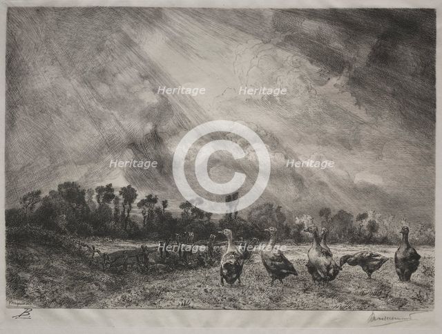 The Storm Cloud, 1878-1887. Creator: Félix Bracquemond (French, 1833-1914).